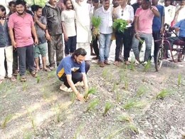 यहां&nbsp;सड़कें गड्ढे में हो चुकी है तब्दील, हालत ऐसी कि कांग्रेसियों ने कर दी धान की रोपाई