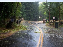 MP के इन जिलों में आंधी के साथ होगी मूसलाधार बारिश: इंदौर-ग्वालियर में छाए रहेंगे बादल, IMD ने जारी किया अलर्ट