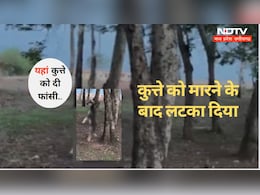 Animal Cruelty Case: कुत्ते को फांसी.. सुनकर हैरान हो गए न ! जानिए- क्या है मामला ?