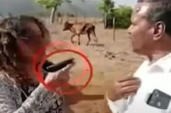 IAS Pooja Khedkar की मां 2 दिन की Police Remand पर, किसान को पिस्टल दिखाकर धमकाने है आरोप IAS Pooja Khedkar की मां 2 दिन की Police Remand पर, किसान को पिस्टल दिखाकर धमकाने है आरोप