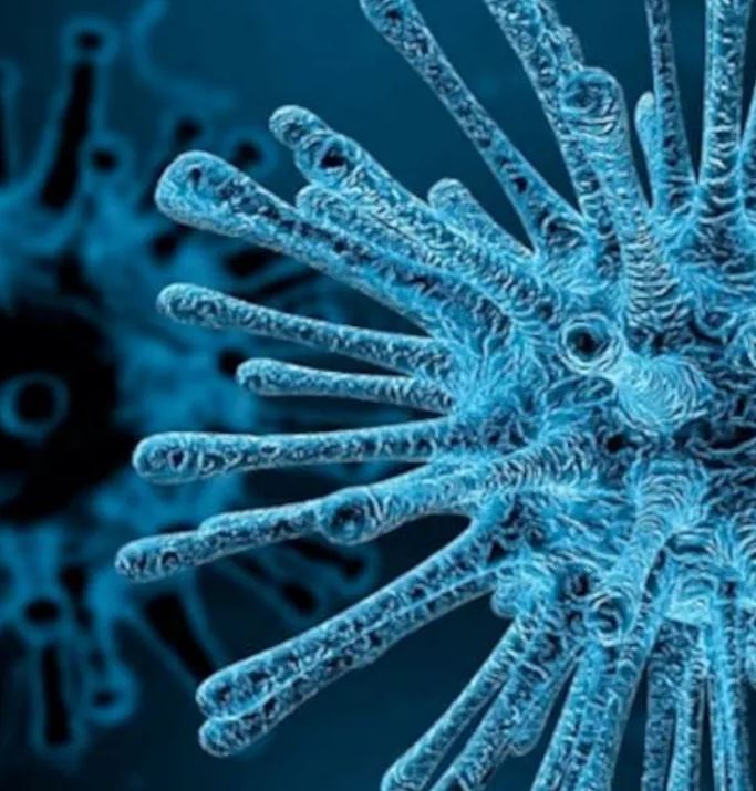 10 Dead Due To Chandipura Virus In Gujarat, 23 Positive Cases Detected