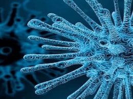 चांदीपुरा वायरस के खतरे को देख गुजरात रवाना हुई केंद्र सरकार की टीम, जानें और किन राज्यों में इसके मरीज चांदीपुरा वायरस के खतरे को देख गुजरात रवाना हुई केंद्र सरकार की टीम, जानें और किन राज्यों में इसके मरीज