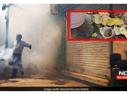 कोरिया में आफत बनकर आया मानसून ! मच्छरों के आतंक से जीना हुआ मुहाल कोरिया में आफत बनकर आया मानसून ! मच्छरों के आतंक से जीना हुआ मुहाल