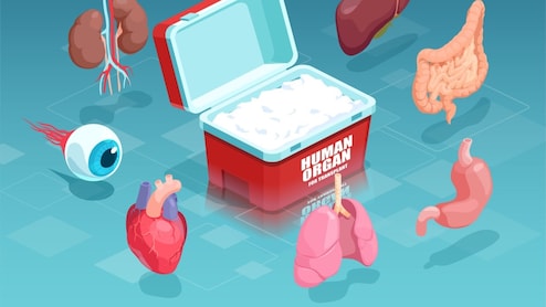 Time Frame for Transplanting Organs : डोनेट होने के बाद कितनी देर तक जीवित रहता है शरीर का कौन-सा अंग, जानें ट्रांसप्लांट की डेडलाइन