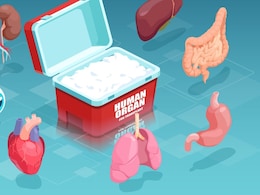 Time Frame for Transplanting Organs : डोनेट होने के बाद कितनी देर तक जीवित रहता है शरीर का कौन-सा अंग, जानें ट्रांसप्लांट की डेडलाइन Time Frame for Transplanting Organs : डोनेट होने के बाद कितनी देर तक जीवित रहता है शरीर का कौन-सा अंग, जानें ट्रांसप्लांट की डेडलाइन