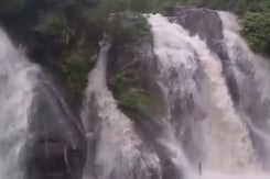 Rainfall Triggers Flash Floods At Courtallam Falls, Authorities Warn Tourists Rainfall Triggers Flash Floods At Courtallam Falls, Authorities Warn Tourists