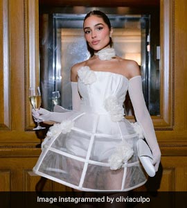 puff mesh sleeve dress Arletta Long Sleeve Mesh Puff Sleeve Dress