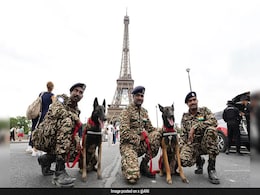 India's Elite Dog Squad K9 Units To Heighten Security At Paris Olympics India's Elite Dog Squad K9 Units To Heighten Security At Paris Olympics