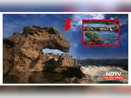 डायनासोर के निवास स्थल पर सरकार क्यों बना रही पुल, हाई कोर्ट ने माँगा जवाब डायनासोर के निवास स्थल पर सरकार क्यों बना रही पुल, हाई कोर्ट ने माँगा जवाब