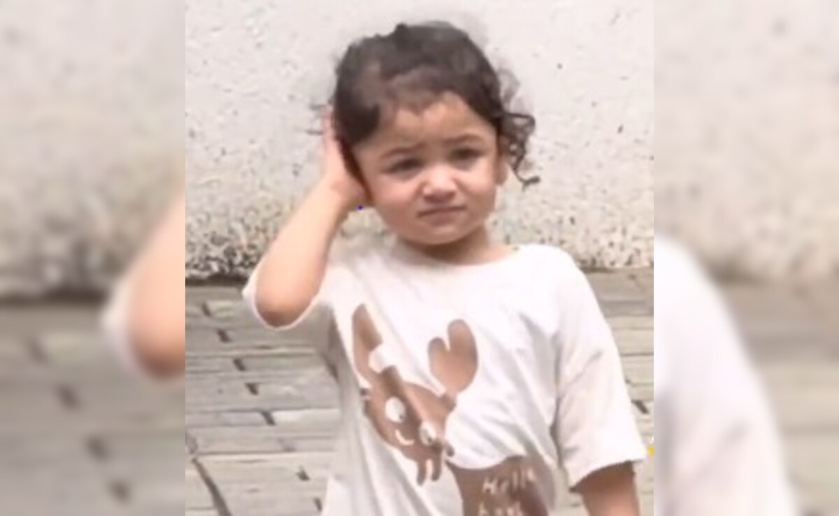 Ranbir Kapoor-Alia Bhatt's Daughter Raha's New Pics Are Winning The Internet