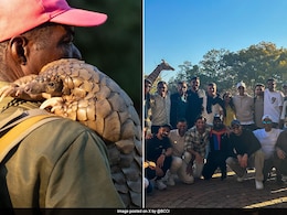 Shubman Gill And India Stars Enjoy Wildlife Tour In Harare Ahead Of 3rd T20I Shubman Gill And India Stars Enjoy Wildlife Tour In Harare Ahead Of 3rd T20I
