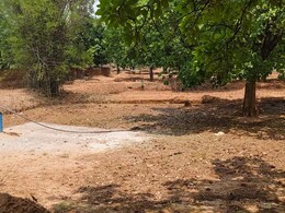 सरकारी जमीन के लिए कितनों का बहेगा खून ? मुरैना से ऐसे हटाया जाएगा अवैध कब्ज़ा