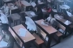 भिंड की जीवाजी यूनिवर्सिटी में नकल  पकड़े जाने पर रद्द की गई परीक्षा