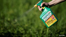 Can Bayer Weedkiller Cause Blood Cancer? What Australian Court Said
