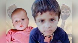 Rajasthan News: पलंग पर सो रहे थे मासूम भाई-बहन, कोबरा ने काटा, दोनों की हुई मौत