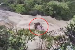 NDTV Ground Report From Accident Site Where 5 Of Family Drowned NDTV Ground Report From Accident Site Where 5 Of Family Drowned