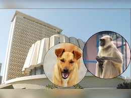 विधानसभेत माकडं आणि श्वानांवर जोरदार चर्चा,  विषय गाजला