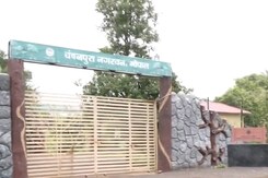 Bhopal: चंदनपुरा-मेंडोरा बाघ भ्रमण क्षेत्र  में जांच के आदेश, जानिए मामला