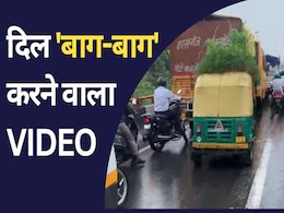 दिल्ली में झमाझम बारिश के बीच सड़कों पर दौड़ता दिखा 'बगीचा', देखिए शानदार VIDEO दिल्ली में झमाझम बारिश के बीच सड़कों पर दौड़ता दिखा 'बगीचा', देखिए शानदार VIDEO