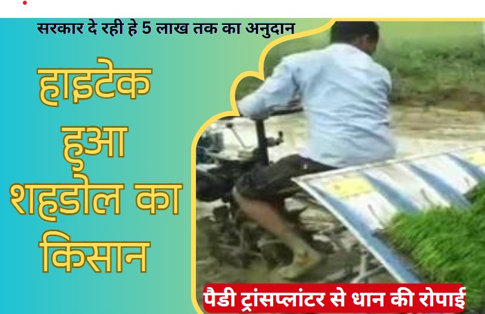 Advanced Farming: हाईटेक हुए शहडोल के किसान, पैडी ट्रांसप्लान्टर से कर रहे हैं धान की रोपाई,&nbsp;MP सरकार दे रही है लाखों का अनुदान