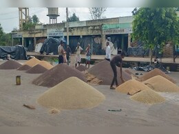 Rajasthan Mandi Bhav: राजस्थान में सरसों और गेहूं के बढ़े रेट, जानें मंडी का ताजा भाव Rajasthan Mandi Bhav: राजस्थान में सरसों और गेहूं के बढ़े रेट, जानें मंडी का ताजा भाव