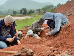 200-Million-Year-Old "Well-Preserved" Dinosaur Fossil Found After Brazil Flood