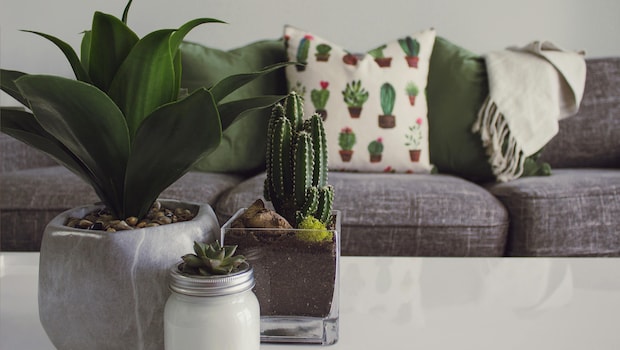 Best Deals On Home Decor From Myntra
