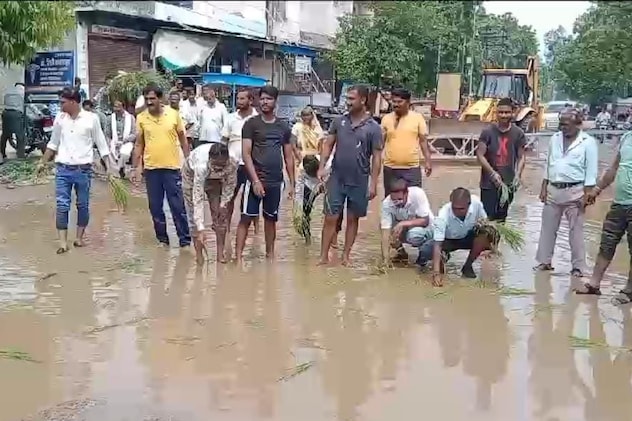 सड़क पर धान रोपकर प्रदर्शन करते भाजपा पार्षद और स्थानीय लोग. सड़क पर धान रोपकर प्रदर्शन करते भाजपा पार्षद और स्थानीय लोग.