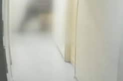 Bengaluru PG Murder CCTV Footage: Paying Guest में 24 साल की महिला की हत्या, CCTV फुटेज आया सामने Bengaluru PG Murder CCTV Footage: Paying Guest में 24 साल की महिला की हत्या, CCTV फुटेज आया सामने