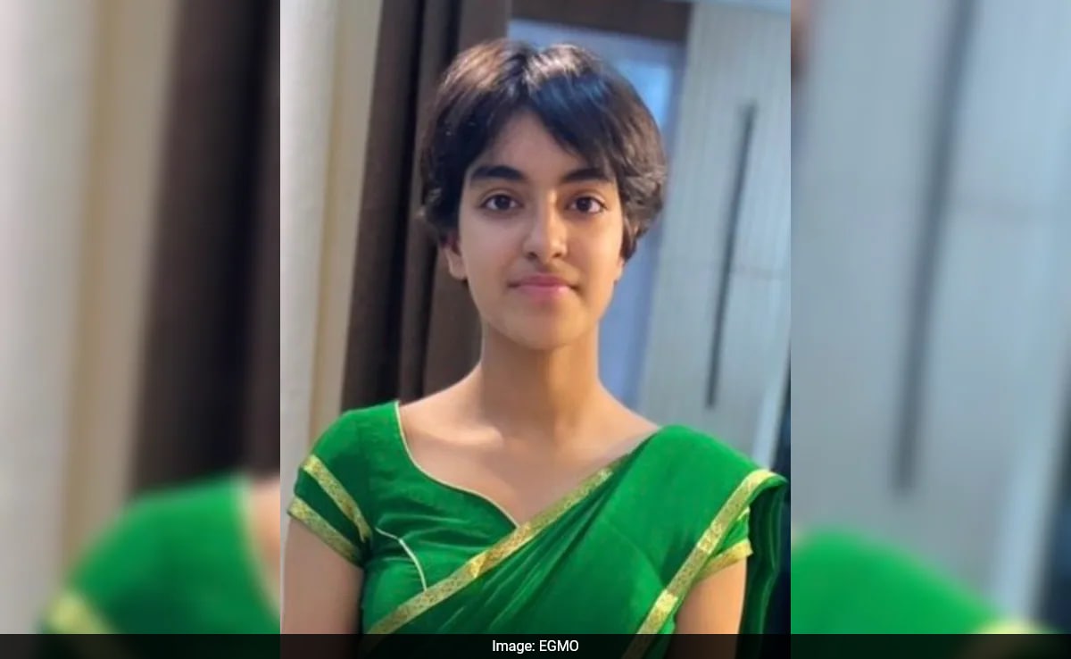 17-Year-Old UK Student Wins Silver For Team India At European Informatics Olympiad