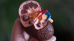 4.9 % Indian Children, Adolescents Suffer From Impaired Kidney Function: Study