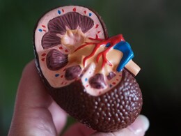 4.9 % Indian Children, Adolescents Suffer From Impaired Kidney Function: Study 4.9 % Indian Children, Adolescents Suffer From Impaired Kidney Function: Study
