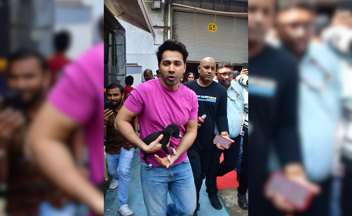 Varun Dhawan Shares An Update On The Stray Puppy He Found Under A Vehicle: "He's Safe"
