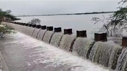 Ajmer News: आकाशीय बिजली गिरने से एक महिला और 12 बकरियों की मौत, अजमेर में&nbsp;ताल-तलैया हुए लबालब