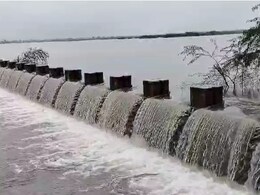 Ajmer News: आकाशीय बिजली गिरने से एक महिला और 12 बकरियों की मौत, अजमेर में ताल-तलैया हुए लबालब