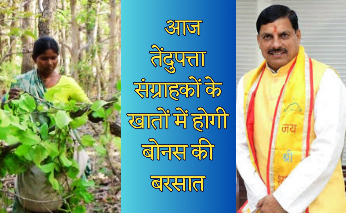 सीएम मोहन आज 36 लाख तेंदूपत्ता संग्राहकों के खातों में ट्रांसफर करेंगे 115 करोड़ रुपए का बोनस, इन कार्यों का होगा लोकार्पण