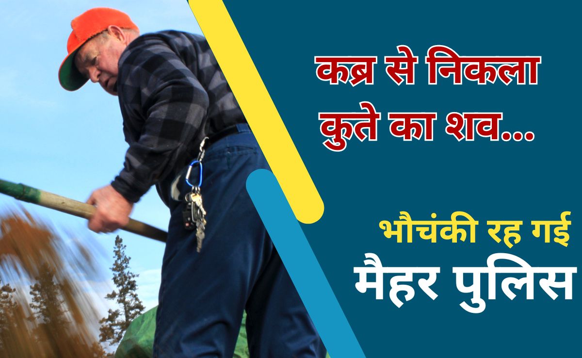 मैहर में रीक्रिएट हुआ फिल्म 'दृश्यम' का सीन, इंसान की जगह कब्र से निकला जर्मन शेफर्ड!