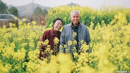 Want To File For Divorce In China? You Might Need A Booking Agent