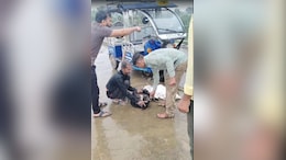 Tied Up Dogs Were Being Thrown Off A Bridge In Madhya Pradesh, Rescued