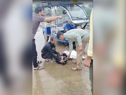 Tied Up Dogs Were Being Thrown Off A Bridge In Madhya Pradesh, Rescued