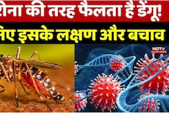 कोरोना की तरह फैलता है डेंगू! जानिए इसके लक्षण और बचाव कोरोना की तरह फैलता है डेंगू! जानिए इसके लक्षण और बचाव