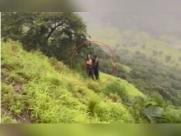 Satara News : प्रशासनाचा आदेश धाब्यावर, सेल्फी प्रेमी तरुणी दरीत पडली