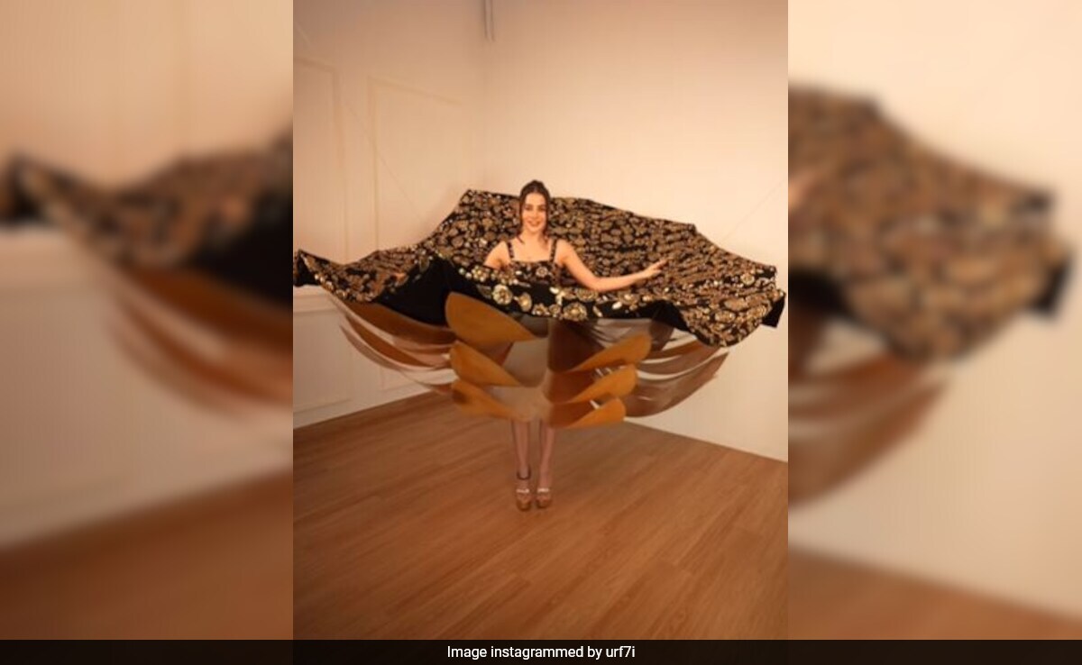 Another Viral-Worthy Moment From Uorfi Javed. Watch Her 3D Outfit In Action