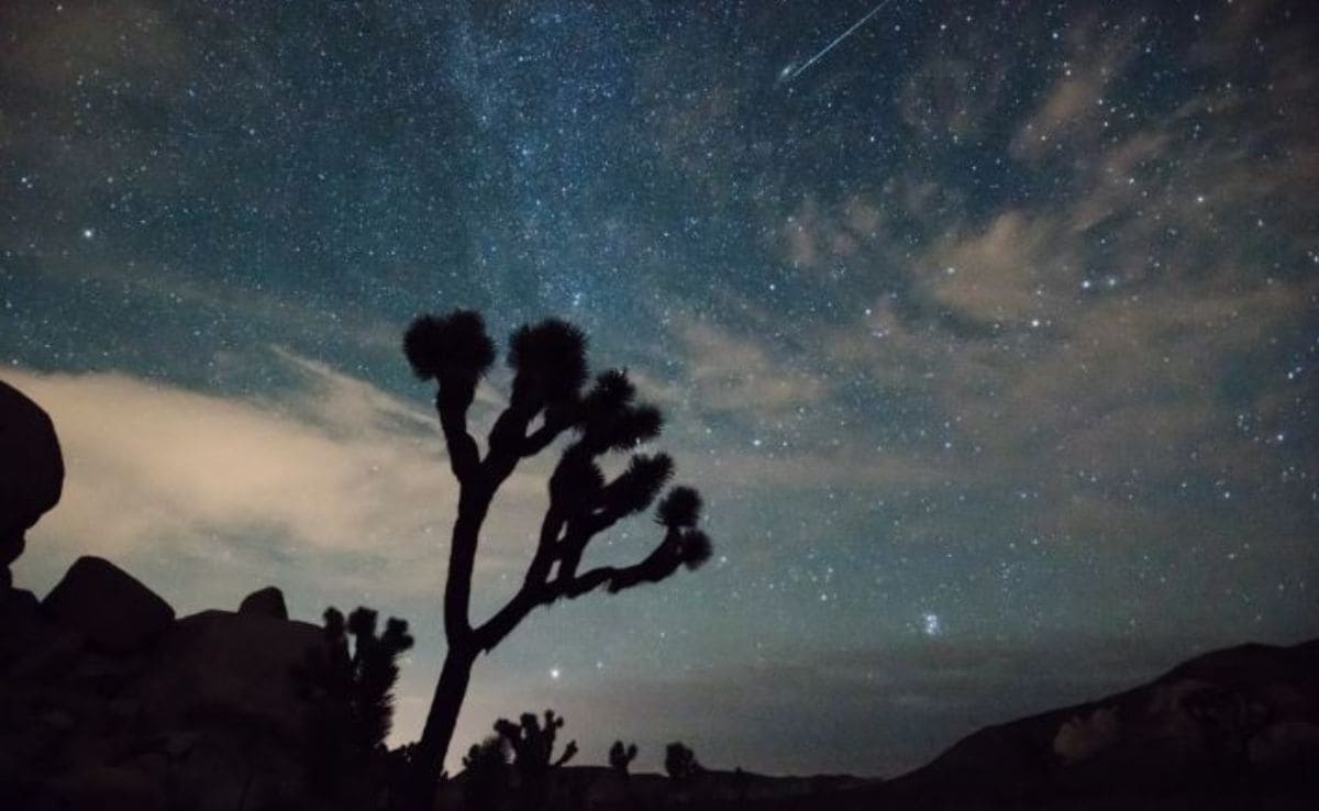 Image of a Perseid meteor streaking over Joshua Tree National Park. Image of a Perseid meteor streaking over Joshua Tree National Park.
