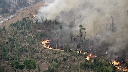 Brazil Records 62% Rise In Forest Fires,  Amazon Hit The Hardest