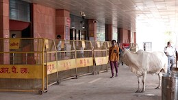 राजधानी भोपाल के दोनों प्रमुख स्टेशन बदइंतजामी के शिकार...वर्ल्ड क्लास स्टेशन हुआ साधारण