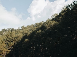 6-Year-Old Boy Found Alive In Vietnam Forest After 4 Days