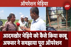 Bahraich Wolf Attack: आदमखोर भेड़िये को कैसे किया काबू, अफसर ने समझाया पूरा Search Operation Bahraich Wolf Attack: आदमखोर भेड़िये को कैसे किया काबू, अफसर ने समझाया पूरा Search Operation