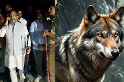 पकड़ा गया चौथा Bhediya, 35 गांवों में मचा हुआ है कोहराम, खत्म हुआ Terror?