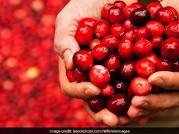 दिखने में छोटी और स्वाद में खट्टी यह सब्जी आपके इम्यून सिस्टम को करेगी बूस्ट दिखने में छोटी और स्वाद में खट्टी यह सब्जी आपके इम्यून सिस्टम को करेगी बूस्ट